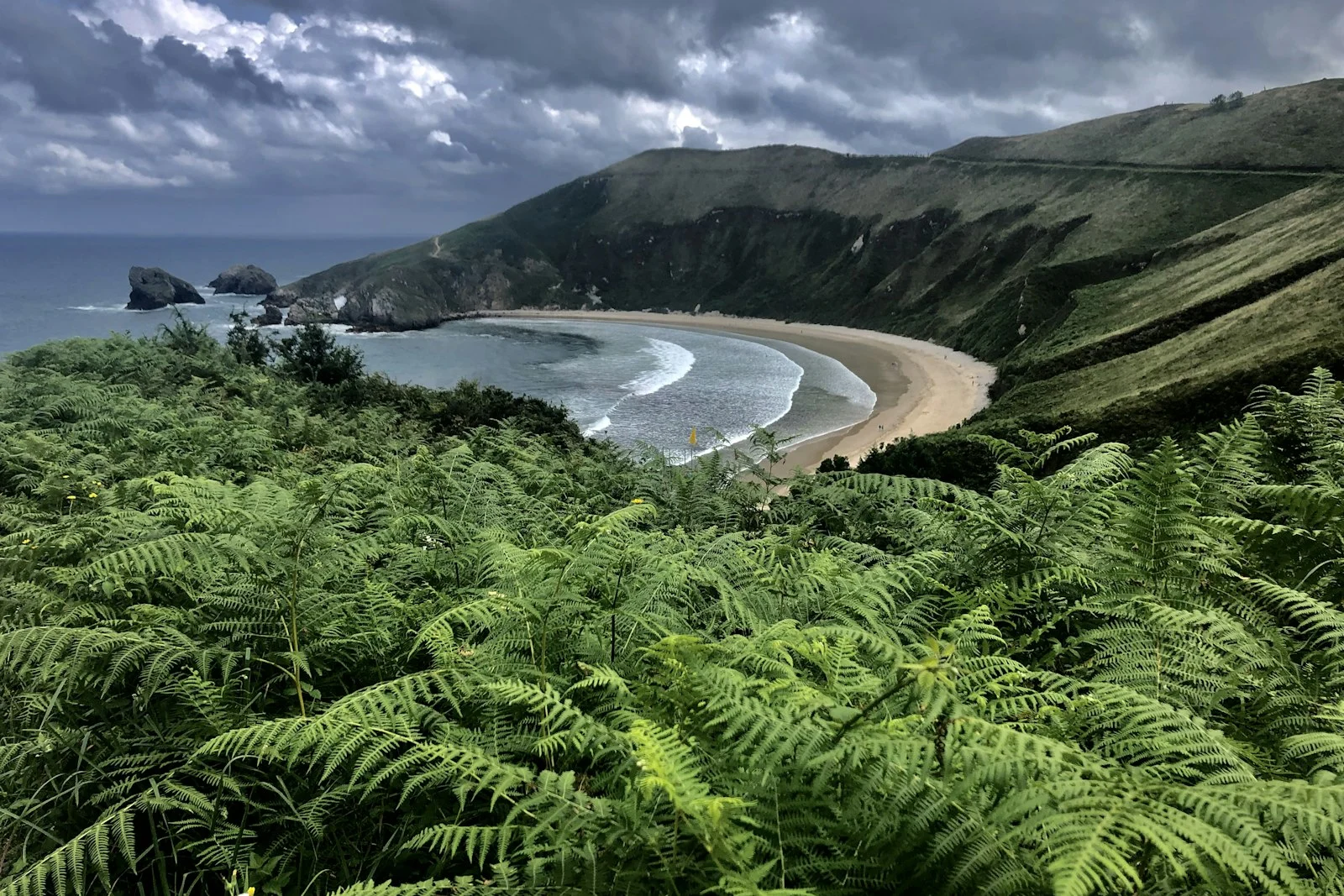 Playa del oriente de Asturias entre helechos
